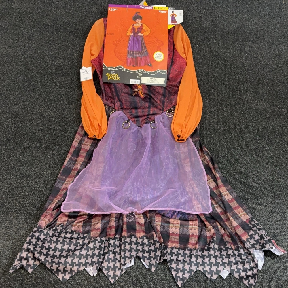 Disney Costume Dress Womens L Multicolor Hocus Pocus Mary Sanderson 2 Piece Set